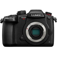 Panasonic LUMIX GH5S Body