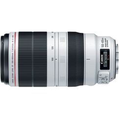 Canon EF 100-400mm f/4.5-5.6 L IS II USM