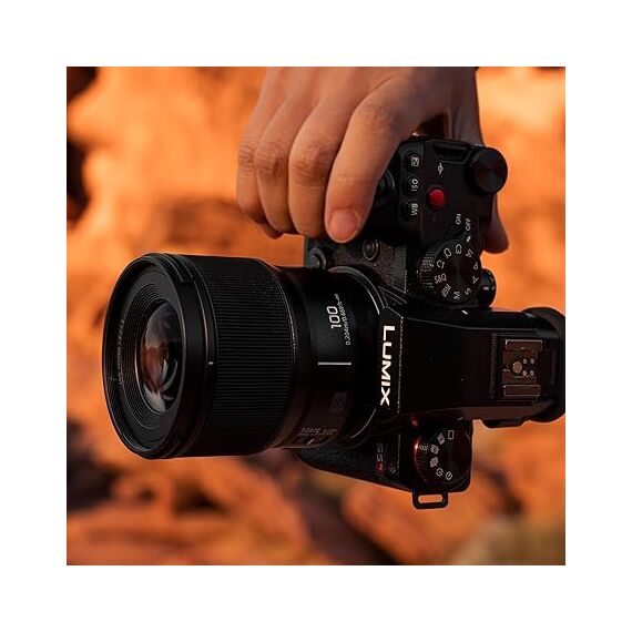 Panasonic Lumix S 100mm F/2.8 Macro (Leica L)