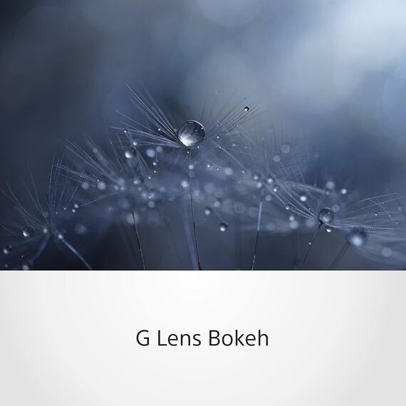 Sony FE 90mm F2.8 Macro G OSS (SEL90M28G)