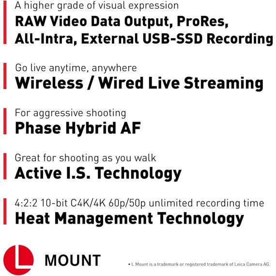 Panasonic Lumix DC-S5 IIX + 20-60mm