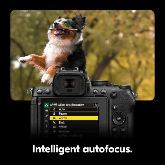 Nikon Z50 II Twin Kit 16-50mm + 50-250mm