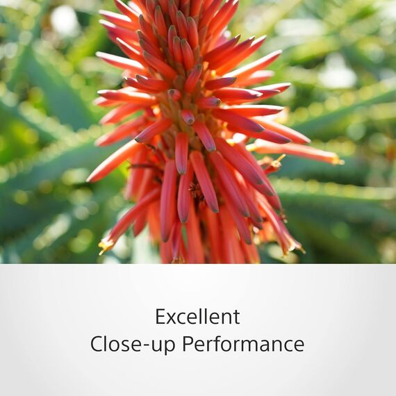 Sony FE 40mm F2.5 G (SEL40F25G)