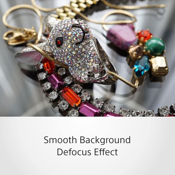 Sony E 50mm F1.8 OSS (SEL50F18/B)