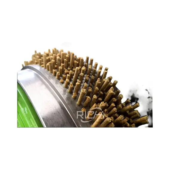 Máquina Peletizadora RICHI SZLH250 Capacidad 1-2T/H hasta 5-7T/H para Producción de Alimento Animal