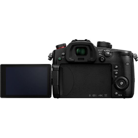 Panasonic LUMIX GH5S Body