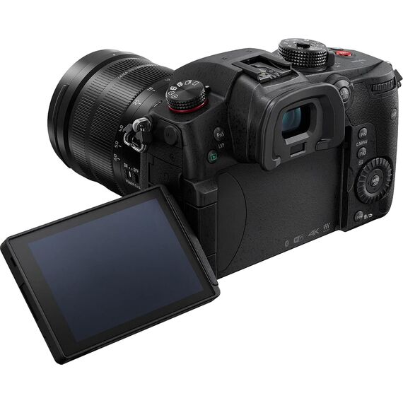 Panasonic LUMIX GH5S Body