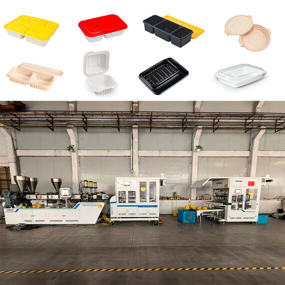 Máquina Termoformadora Automática XFeng Alta Productividad