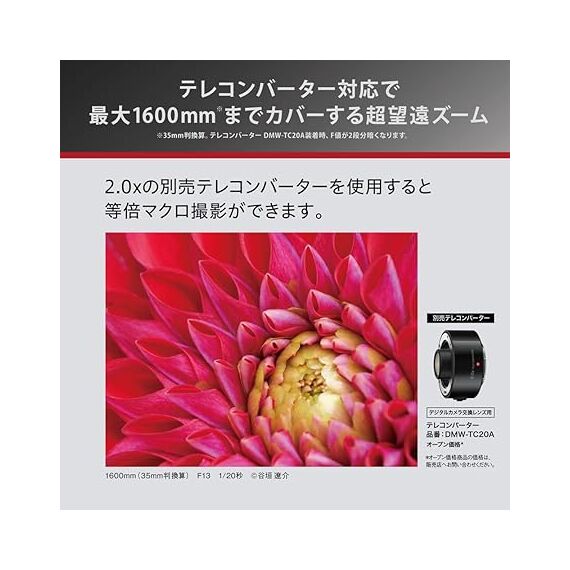 Panasonic 100-400mm f/4-6.3 ASPH POWER OIS LEICA DG VARIO-ELMAR (HRS100400E)