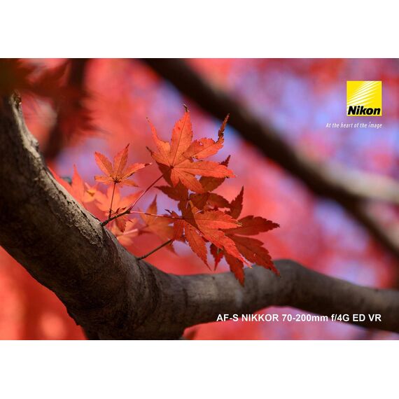 Nikon AF-S 70-200mm f/4G ED VR