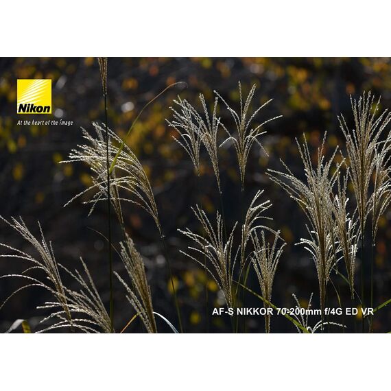 Nikon AF-S 70-200mm f/4G ED VR