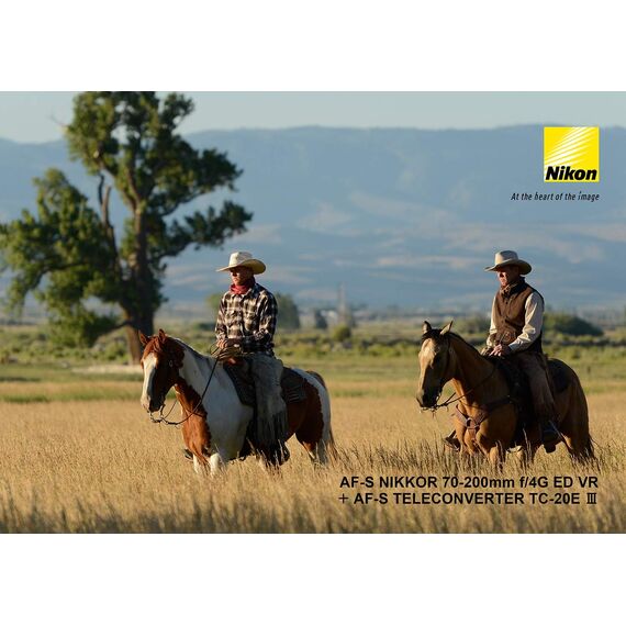 Nikon AF-S 70-200mm f/4G ED VRNikon AF-S 70-200mm f/4G ED VR