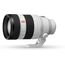 Sony FE 50-150mm F/2 GM (SEL50150GM)