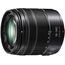 Panasonic Lumix G Vario 14-140mm f/3.5-5.6 II ASPH. / Power O.I.S.