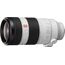 Sony FE 100-400mm f/4.5-5.6 GM OSS
