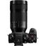 Panasonic Lumix S 70-300mm f/4.5-5.6 OIS