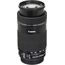 Canon EF-S 55-250mm f/4-5.6 IS STM
