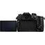 Panasonic LUMIX GH5S Body
