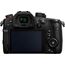 Panasonic LUMIX GH5S Body