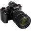 Panasonic Lumix DC-S1M2 Kit (S 24-105mm F4) (DC-S1M2M) (Negro)
