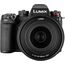 Panasonic Lumix DC-S1M2 Kit (S 24-105mm F4) (DC-S1M2M) (Negro)