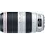 Canon EF 100-400mm f/4.5-5.6 L IS II USM