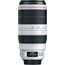 Canon EF 100-400mm f/4.5-5.6 L IS II USM