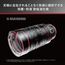Panasonic 100-400mm f/4-6.3 ASPH POWER OIS LEICA DG VARIO-ELMAR (HRS100400E)