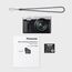 Panasonic Lumix DC-TZ99 (Silver)