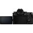 Lumix DC-G9 II (Black)