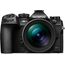 OM System OM-1 Mark II + 12-40mm F/2.8 Pro II