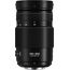 Panasonic Lumix G Vario 100-300mm f/4-5.6 II